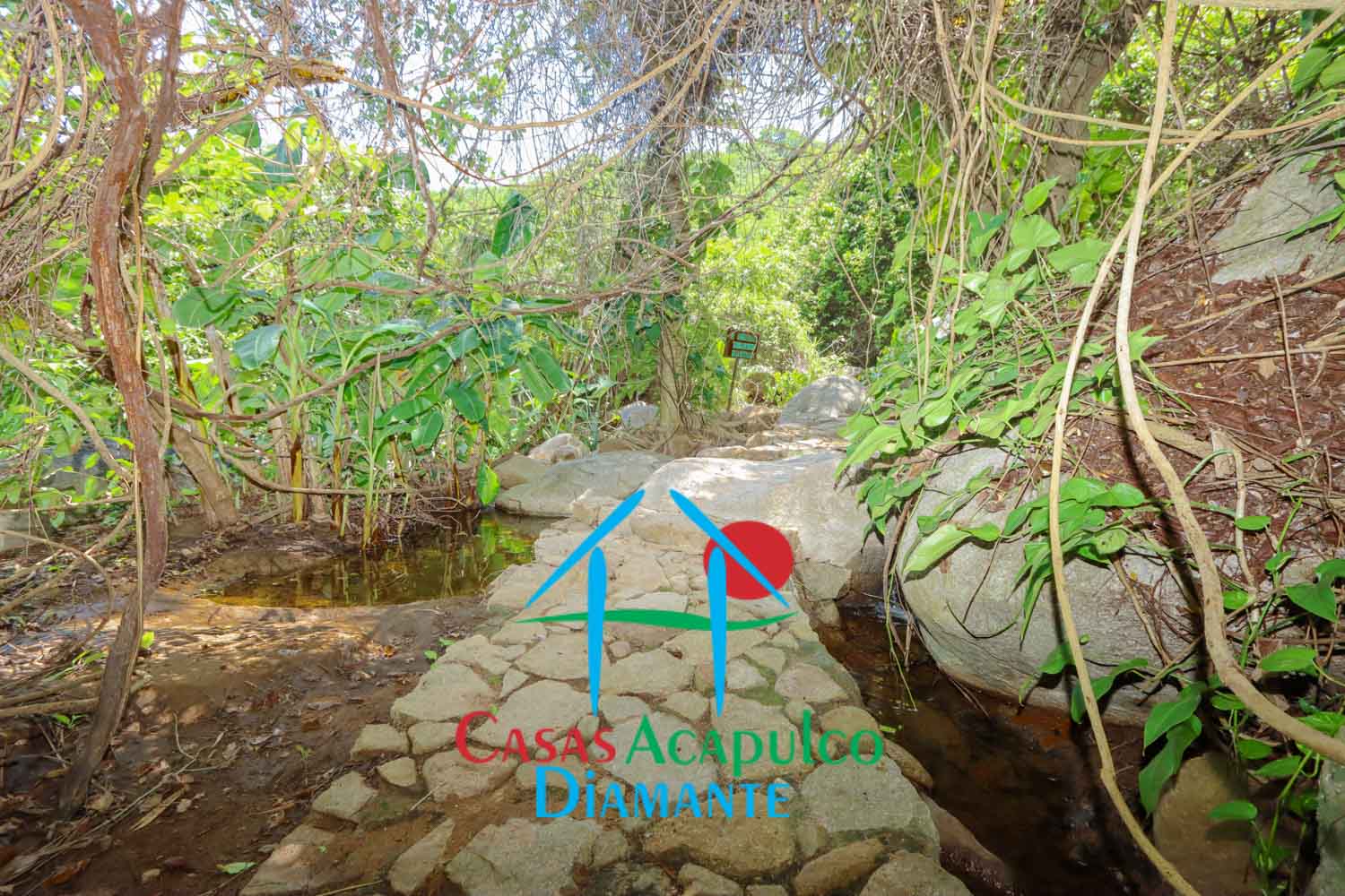 La Concha 82 - Playa privada Las Brisas 4